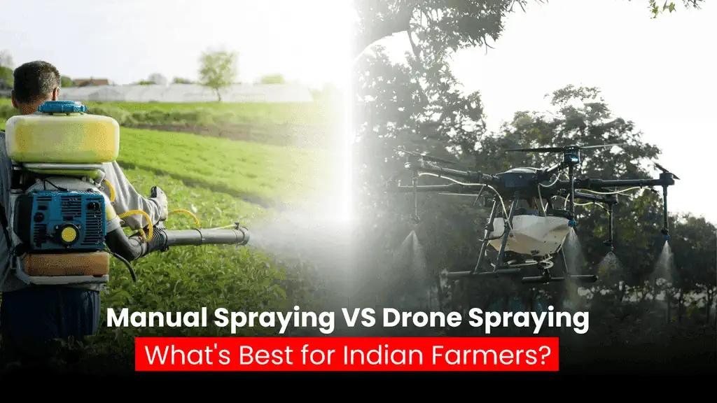 Manual Spraying in Agriculture