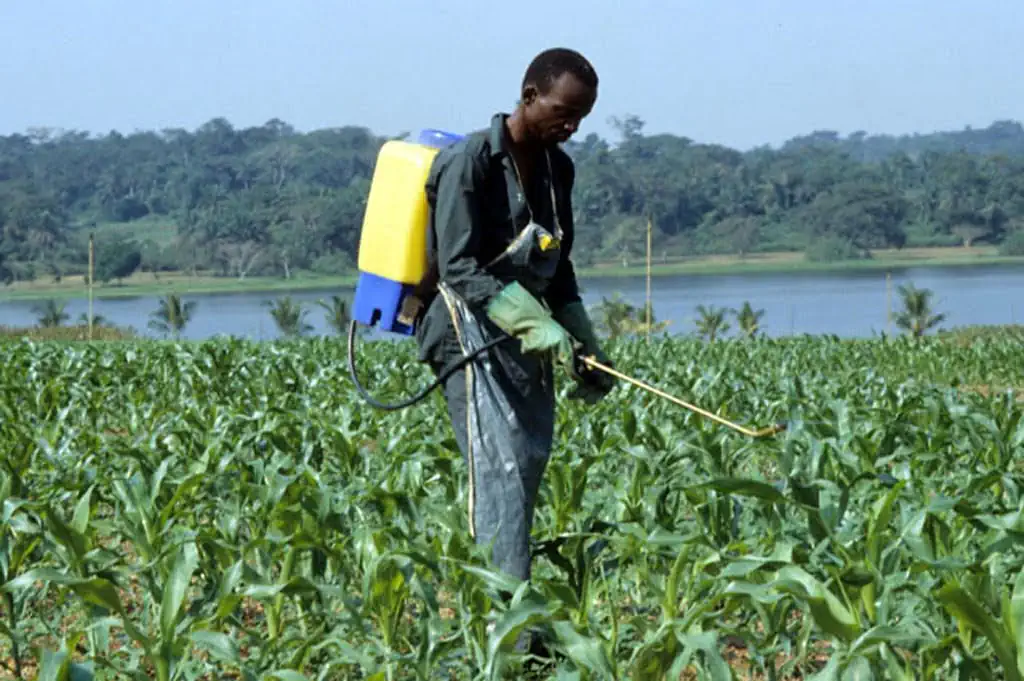 Traditional Spraying