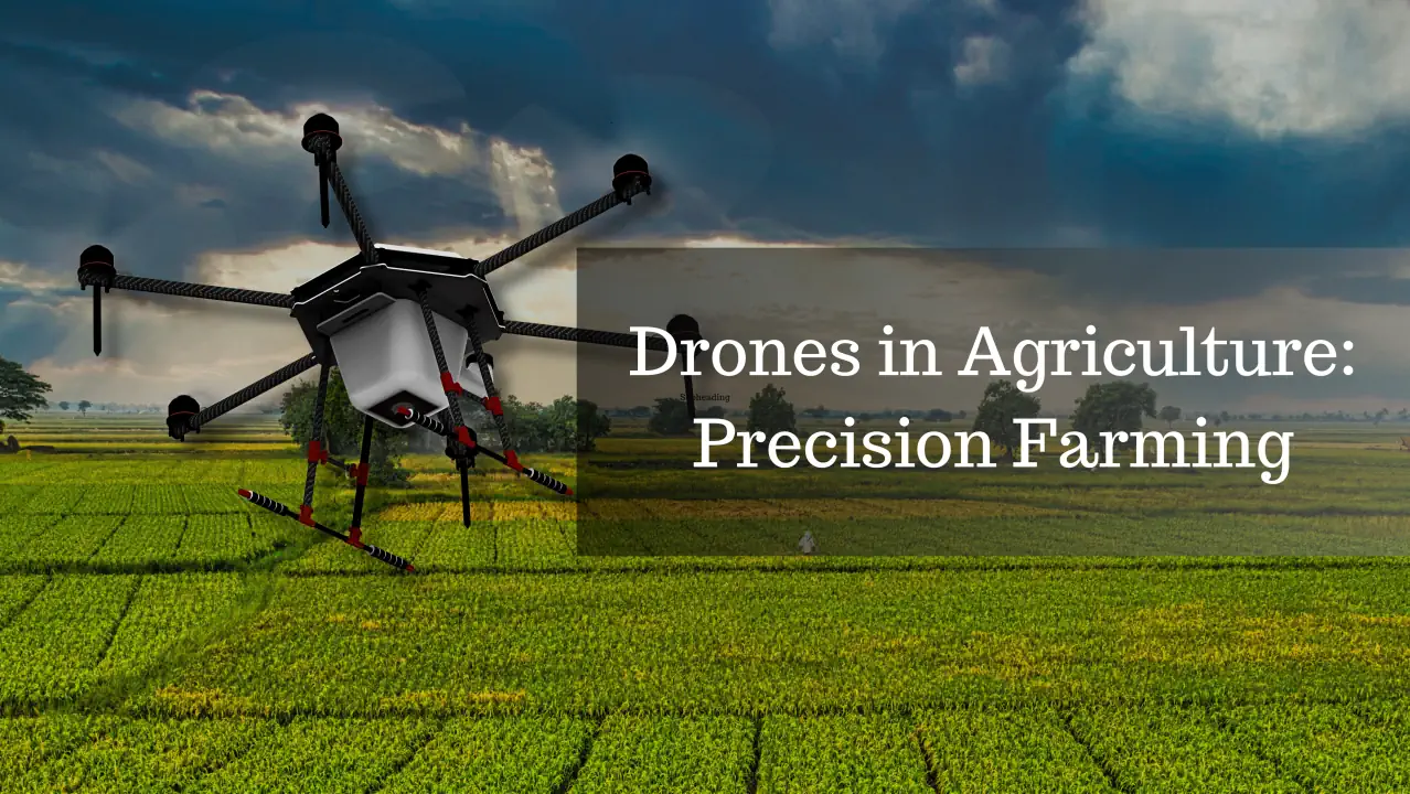 Your Partner for a Profitable Future