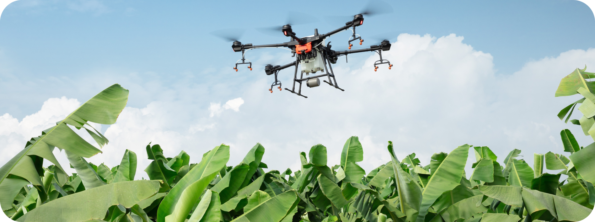 Agriculture drone spraying over field